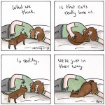 HiFest - Eat Sleep Sniff