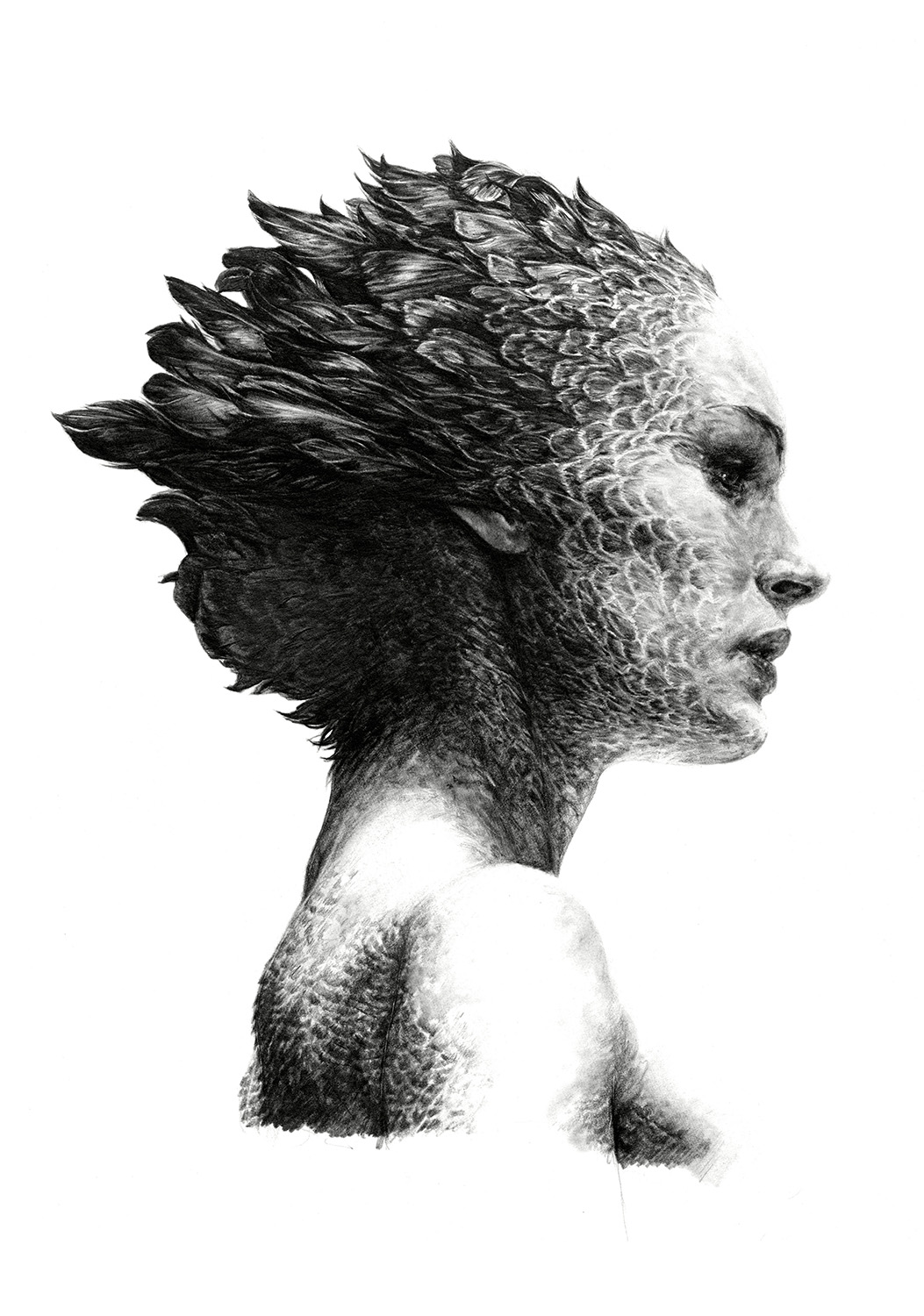 image-1001
