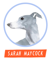HiFest - Sarah Maycock